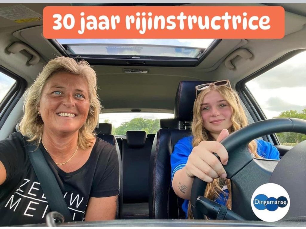 Autorijschool Dingemanse logo