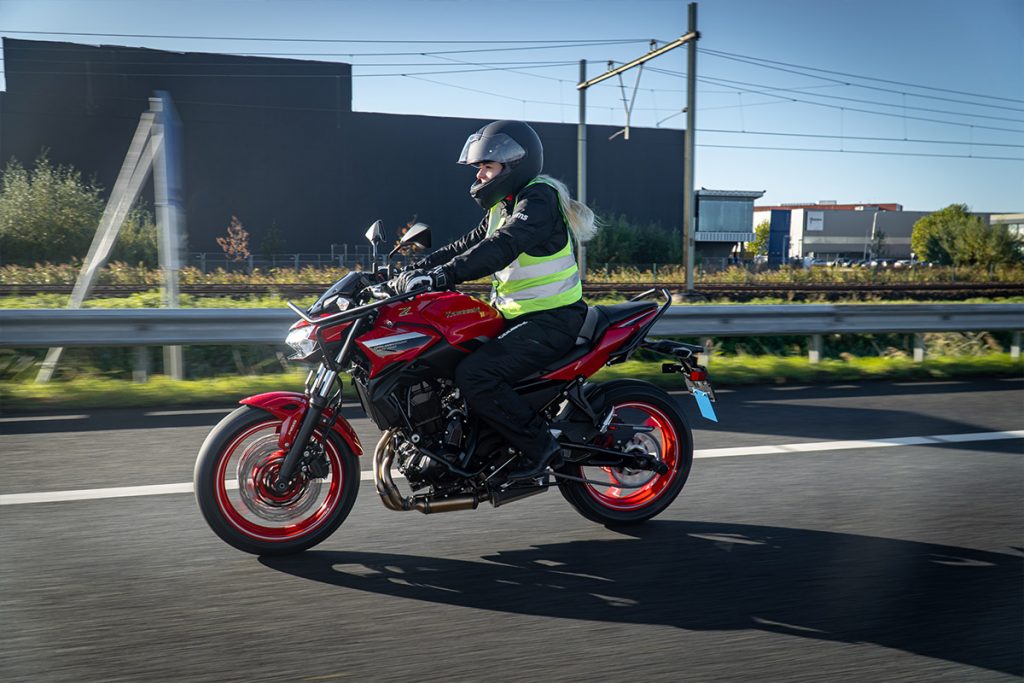 Leeuwendael Rijinstructie logo