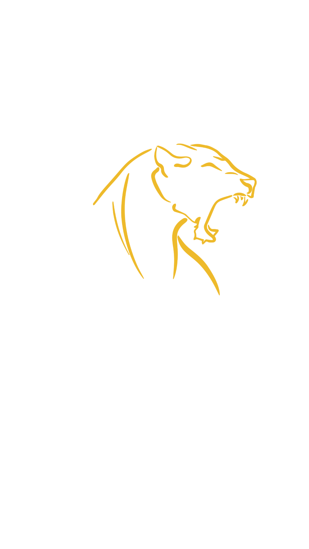 Rijles bij Lioness logo