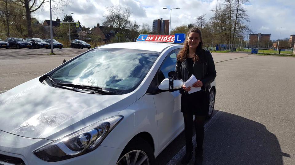 Rijschool De Leidse logo