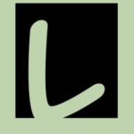 Rijschool Demi Luijten logo