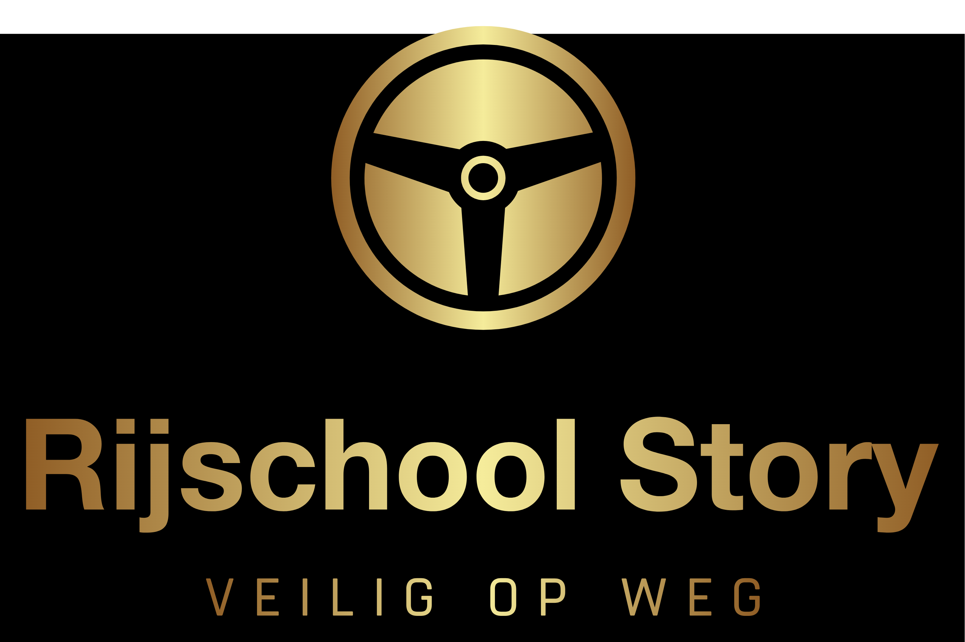 Rijschool Story logo
