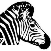 Rijschool Zebra logo